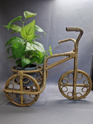 Vintage bamboo cane - vintage, bicycle
