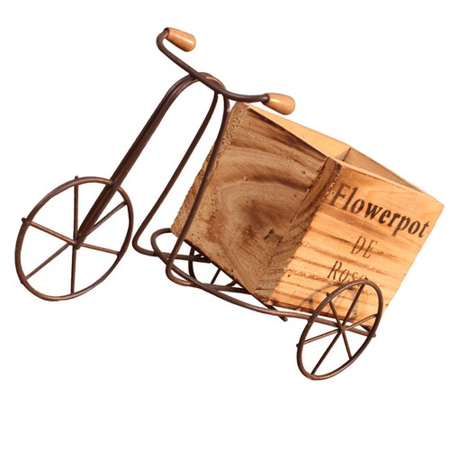 Iron tricycle plant stand - plant,