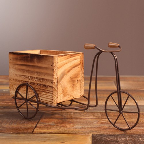 Set iron tricycle - set, plant