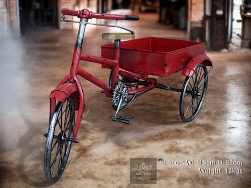 Trike bike planter - bike,