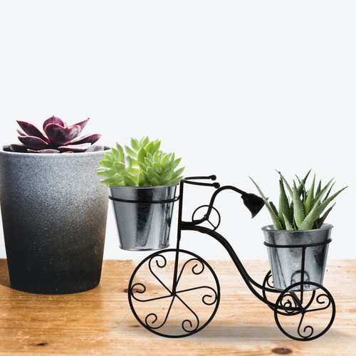 Durable iron bike - durable, planter