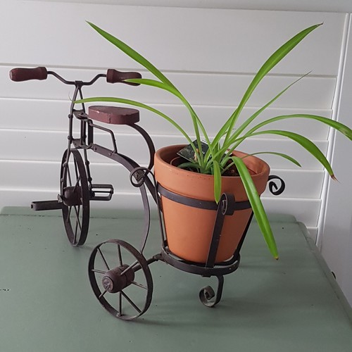Metal miniature bike tricycle
