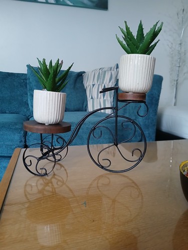 Black white metal bicycle - black,