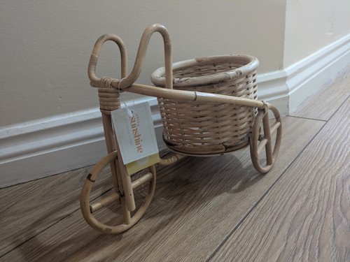 Plant pot wicker bicycle - plant,